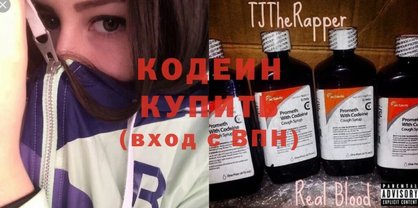 спиды Ельня