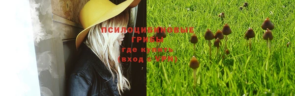mdpv Белокуриха