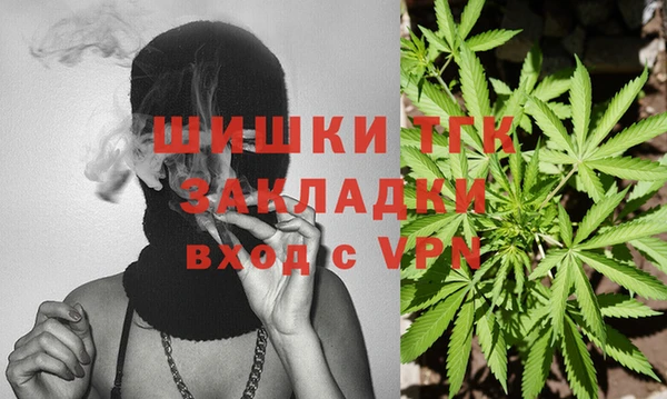 mdpv Белокуриха