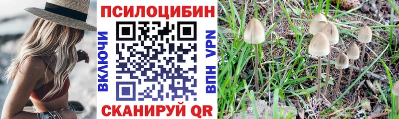 где найти мега как войти Псилоцибиновые грибы мухоморы Армавир
