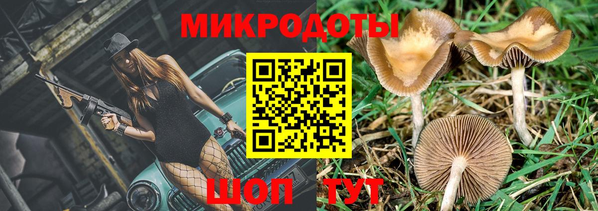 Галлюциногенные грибы Magic Shrooms  Псилоцибиновые грибы GOLDEN TEACHER  Армавир  Вход с VPN 
