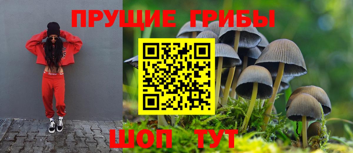 Псилоцибиновые грибы мицелий Армавир